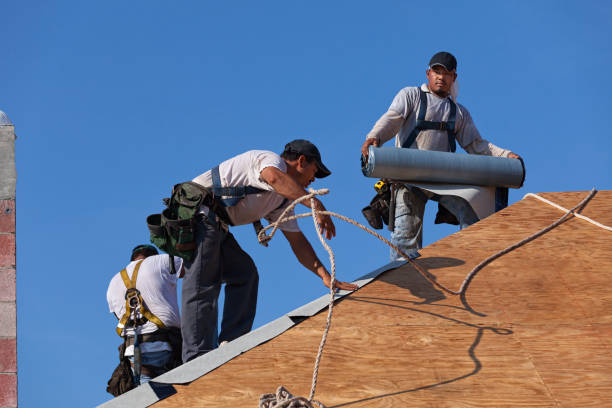 Best Roof Gutter Cleaning  in Bellaire, OH